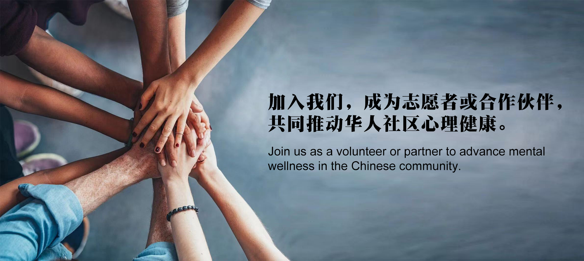 通栏图片